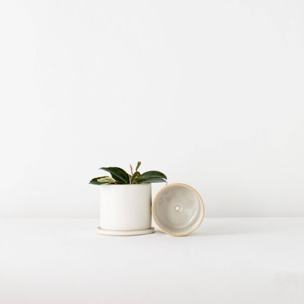 Minimal Planter | Sand | Pre-Order