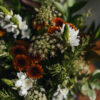 Flower Delivery - Image 14