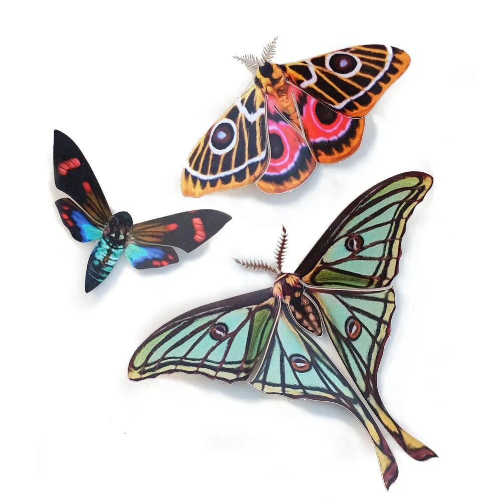 Jade Spanish Moon Moth Set Moth & Myth – Joli Jardin