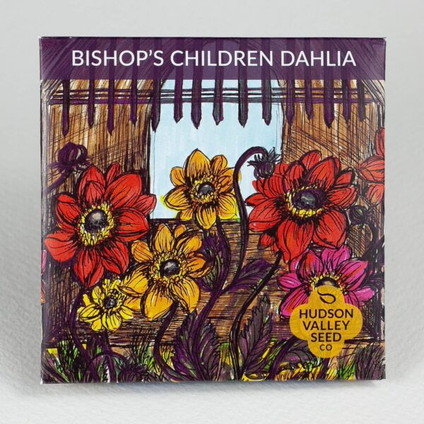 Bishop’s Children Dahlia