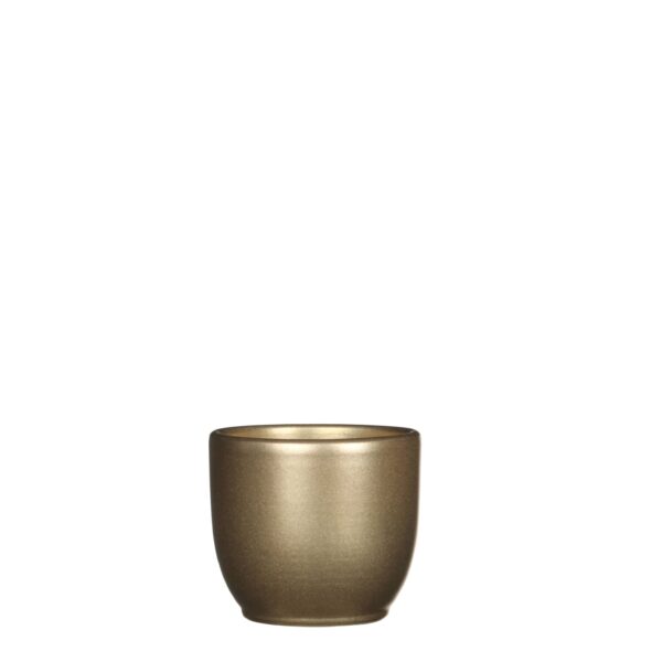 Tusca Ceramic Gold Pot