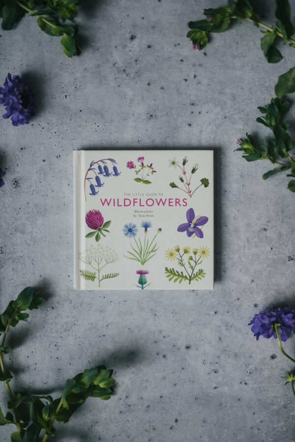 The Little Guide To Wildflowers