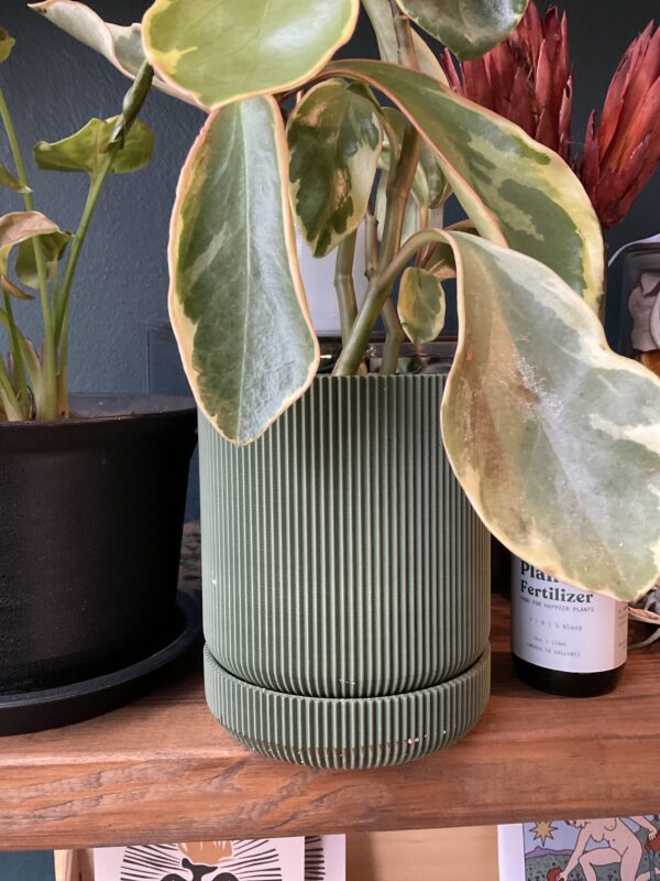 Hemlock Planter - Olive Green 4"