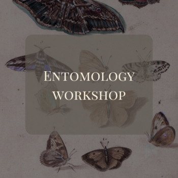 Entomology at Joli Jardin - March 21, 4 PM