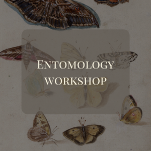 Entomology at Joli Jardin - April 19