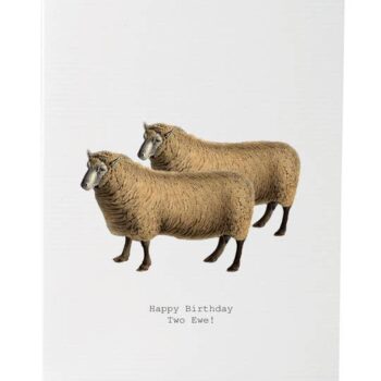 Happy Birthday Two Ewe Birthday Card