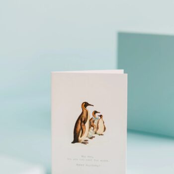 Hey Man, You Are Too Cool For Words