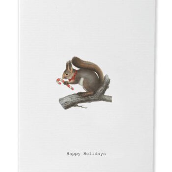 Happy Holidays Squirrel Greeting Card
