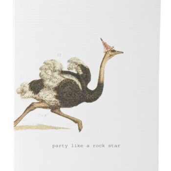 Party Like A Rock Star Greeting Card