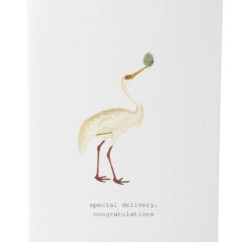 Special Delivery Greeting Card