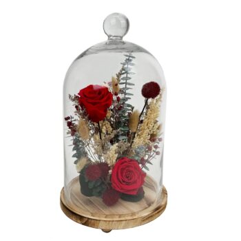 15" Red Preserved Rose Botanical Cloche