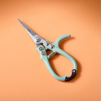 New Colors! Garden Shears : Sage