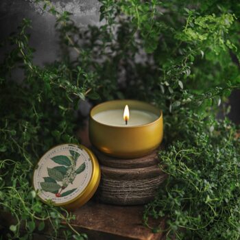 BOTANICA | Cardamom + Coffee | 8oz Tin: 8oz // 50hr Burn Time