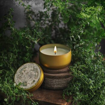BOTANICA | Honeysuckle + Linden Blossom | 8oz Tin: 8oz // 50hr Burn Time