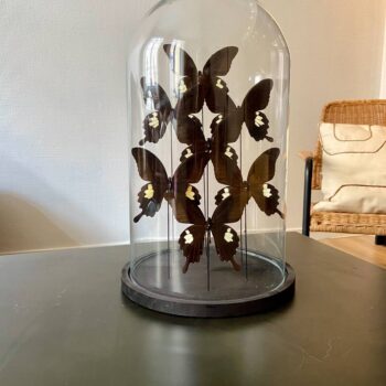 CARACAS bell size 3