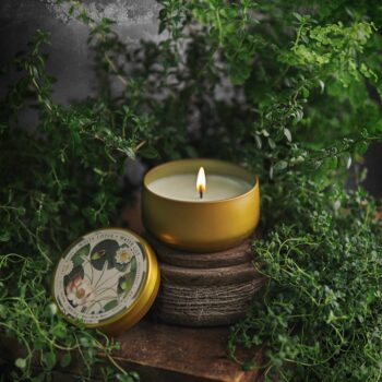 BOTANICA | White Lotus + Water Lily | 8oz Tin: 8oz // 50hr Burn Time
