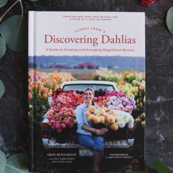 Discovering Dahlia's