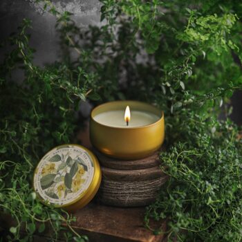 BOTANICA | Narcissus + White Tea | 8oz Tin: 8oz // 50hr Burn Time