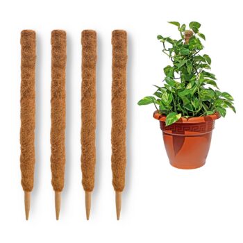 Coconut Grow Pole - 23.6"