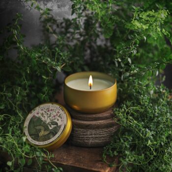 BOTANICA | Tobacco Flower | 8oz Tin: 8oz // 50hr Burn Time
