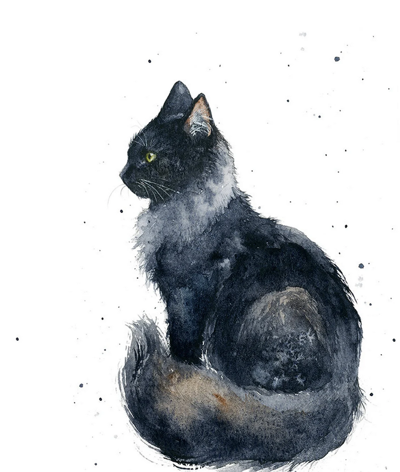 Black Cat 8x10 Print
