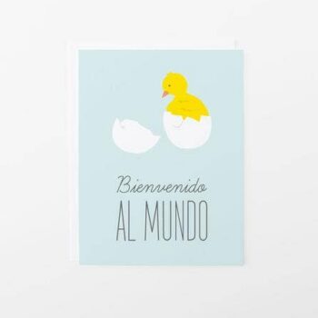 Bienvenido al Mundo, Baby Chick Card