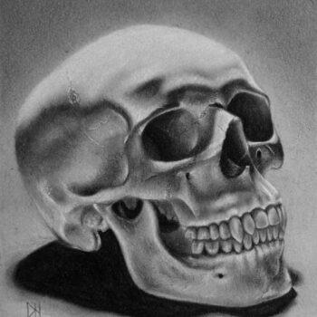 Fine  Art Print "Skull Study 03"