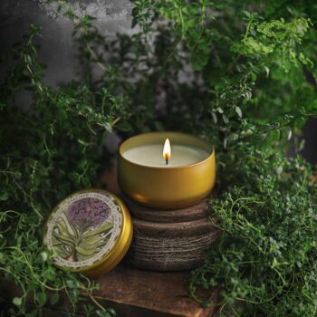 BOTANICA | Hyacinth + Ivy | 8oz Tin: 8oz // 50hr Burn Time