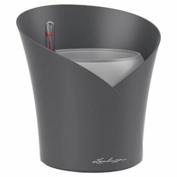 LECHUZA ORCHIDEA Poly Resin Table Self-Watering Plant Pot: Matt Charcoal