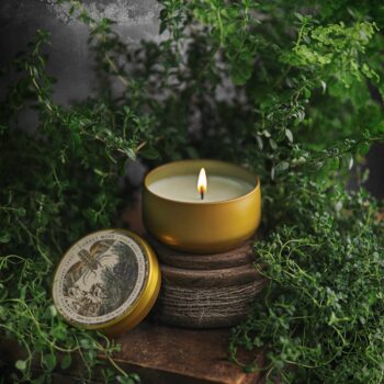 BOTANICA | Forest Moss | 8oz Tin: 8oz // 50hr Burn Time