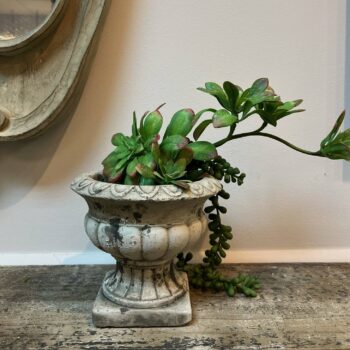 Wide Cement Planter Urn