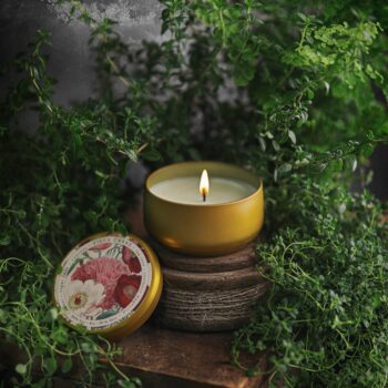 BOTANICA | Vieux Carré | 8oz Tin: 8oz // 50hr Burn Time