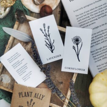 Ostara Plant Ally Talisman Cards Mini Poetry Oracle Deck