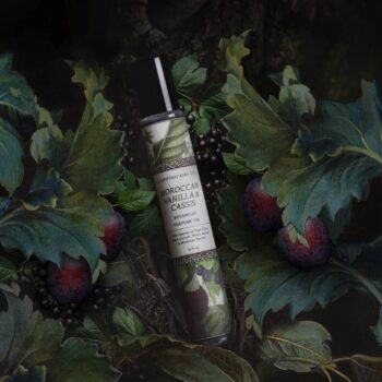 BOTANICA | Moroccan Vanilla + Cassis | Perfume Oil: 10.5ml Roller