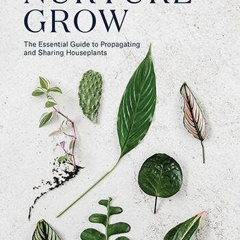 Root, Nurture, Grow