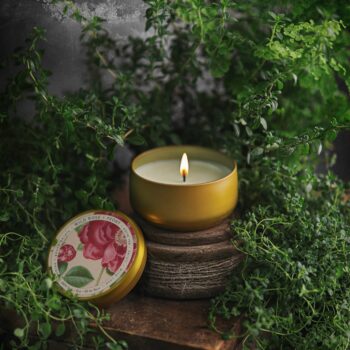 BOTANICA | Wild Rose + Peony | 8oz Tin: 8oz // 50hr Burn Time