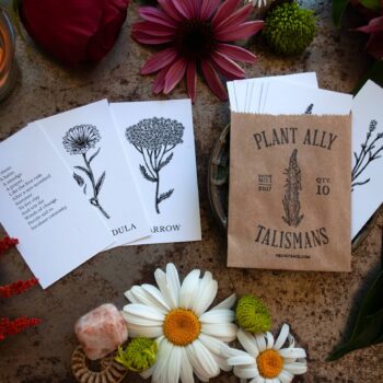 Vol 1 Plant Ally Cards Mini Poetry Deck