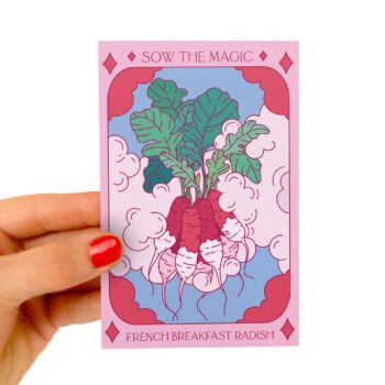 French Breakfast Radish Card Seed Packet