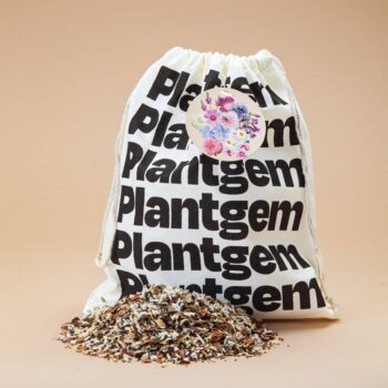 Bumble Bee Bar Wildflower Seed Mix