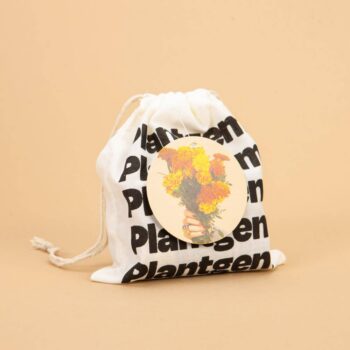 Aster Mix Seed Bundle