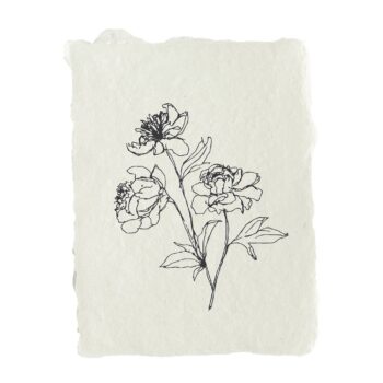Peony stems note card: Single