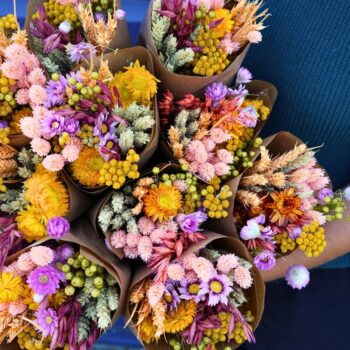 Dried Flowers - Market Bouquet - Sunny Delight
