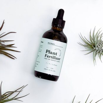 Plant Fertilizer | Houseplant Food