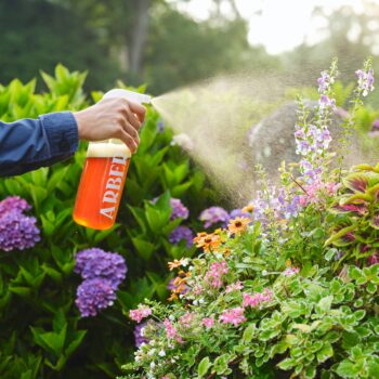 32oz Arber Plastic Spray Bottle