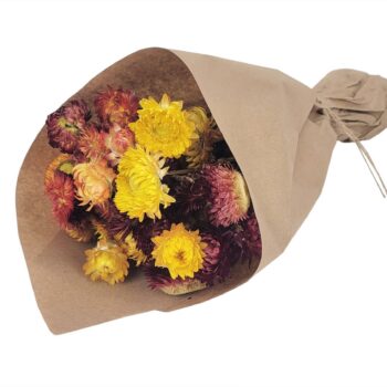 Sunset Glow Strawflower Floral Bouquet #215