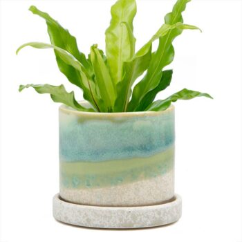 Green Cement, 5" Minute Handmade Ceramic Planter Indoors Pot With Saucer: