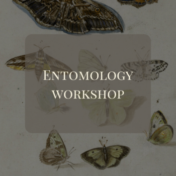 Entomology at Joli Jardin - October 17, 4 PM